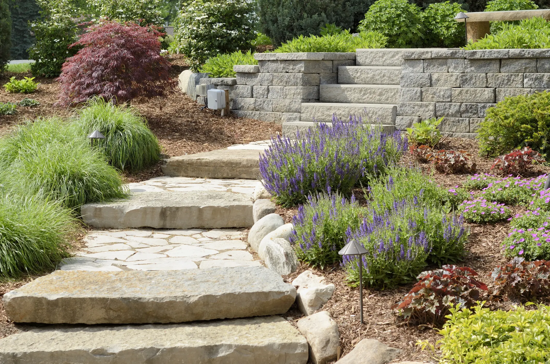 Stone step pathway with paver patio and small retaining wall, bordered by mulched garden beds, purple flowering perennials, ornamental grasses, shrubs, low landscape lighting — professional landscaping and hardscape installation.