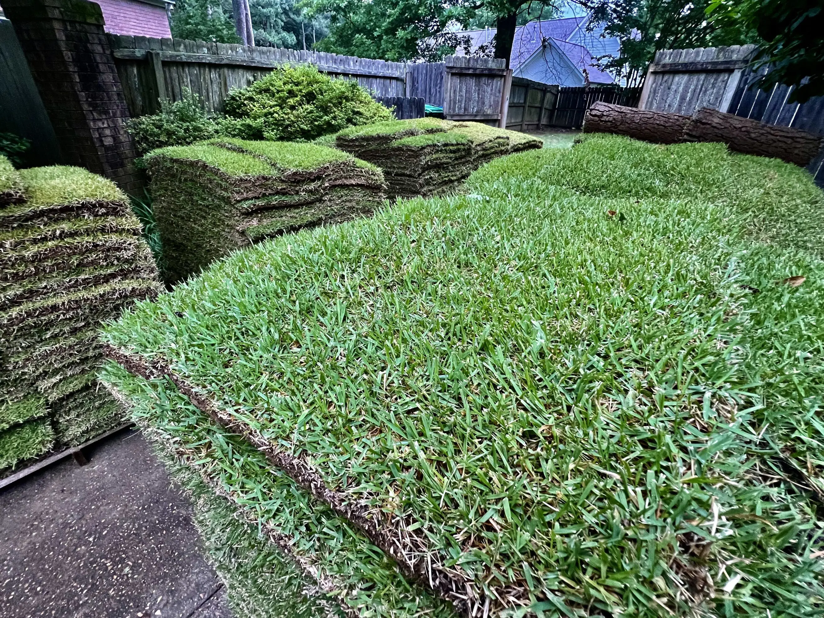 Stacks of freshly cut sod rolls piled in a fenced backyard ready for installation by Bluff City Tree & Landscape, showing green turf replacement for lawn renovation and landscaping services