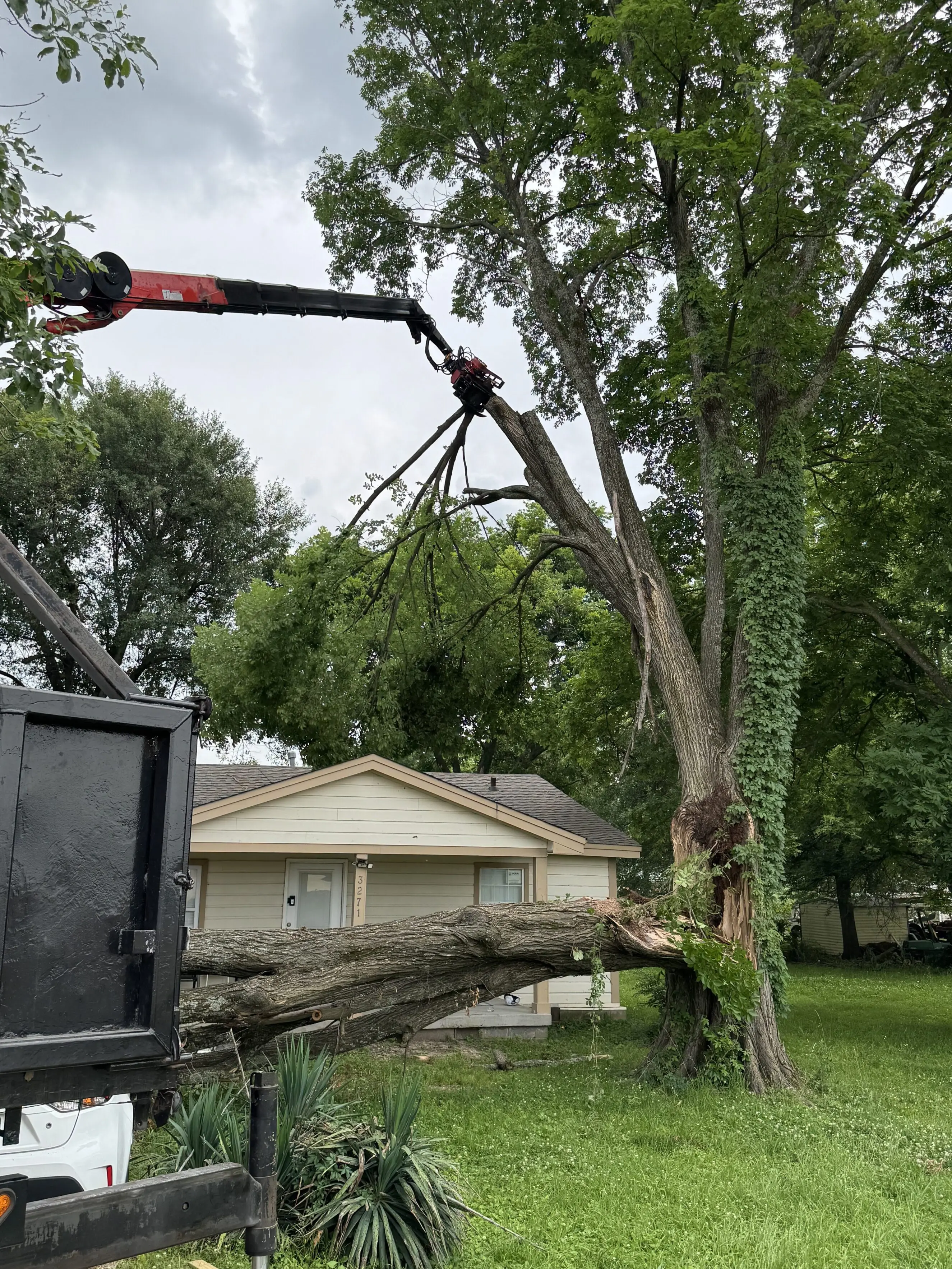 Large fallen tree being removed by a crane arm in front of a single-story house, demonstrating professional tree removal and storm-damage cleanup by Bluff City Tree & Landscape in a residential yard